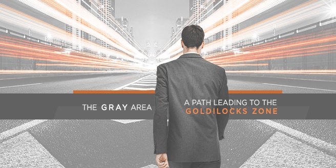 The Gray Area, A Path Leading to the Goldilocks Zone